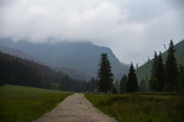 Sentiero Sotto Pioggia Nella Valle Koscieliska Monti Tatra Polonia — Foto Stock