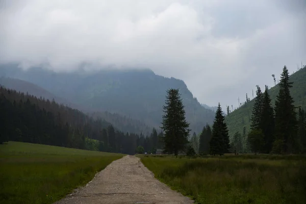 Sentier Sous Pluie Dans Vallée Koscieliska Montagnes Tatra Pologne — Photo