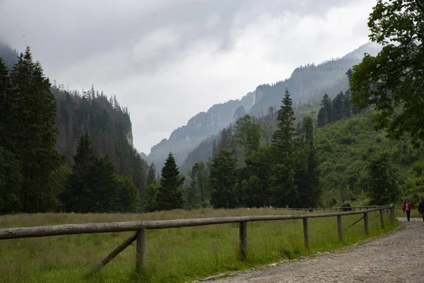 Sentier Sous Pluie Dans Vallée Koscieliska Montagnes Tatra Pologne — Photo