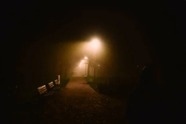 illustration of fog in the park at night, soft focus, one person