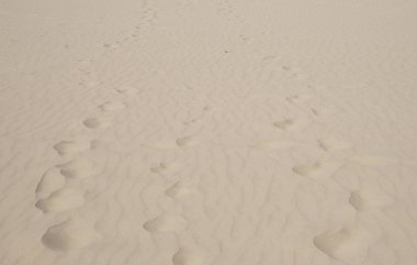 Kuma ayak basmak, çöl