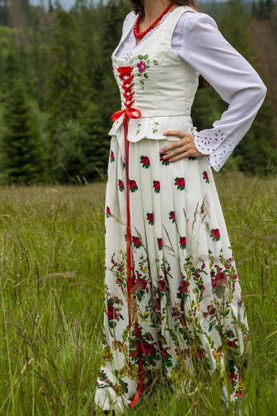Крупним Планом Традиції Висококласного Одягу Жіночий Варіант — стокове фото