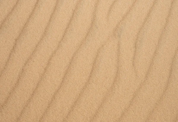 sand and desert background, top view