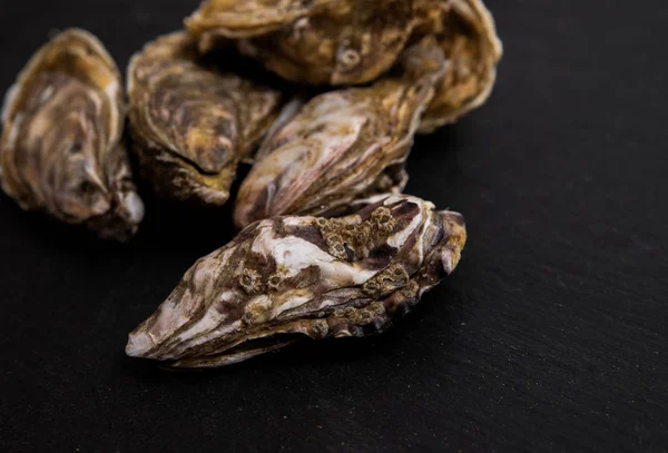 Placa de ostras con limón sobre fondo gris — Foto de Stock