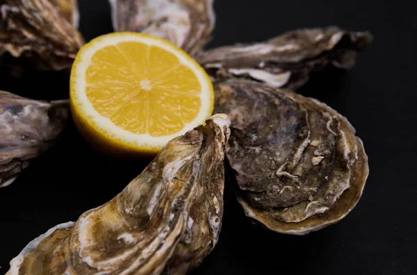 Placa de ostras con limón sobre fondo gris — Foto de Stock