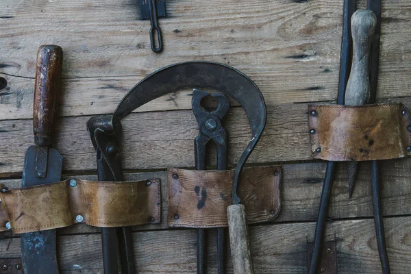 Close up on old tools for torture — Stok Foto
