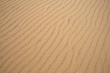 çöl kumul kum doku veya arka plan