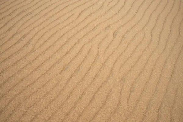 Texture or background of desert dune sand Royalty Free Stock Images