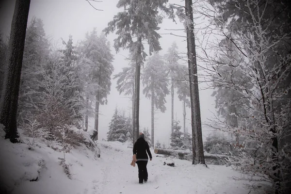 Ormandaki kadın, kış — Stok fotoğraf