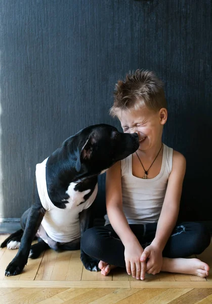 집에서 강아지와 놀고 금발 소년 — 스톡 사진