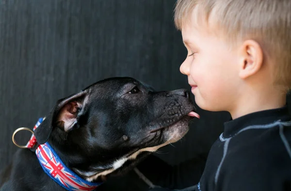 Little blond boy playing with a puppy at home — Stock Photo, Image