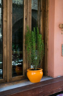 güzel ve renkli Georgia