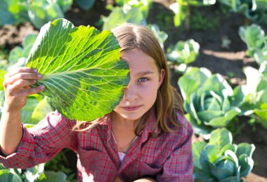 Lahana tarlasında oturan güzel kız. Taksi kulaklı kız.