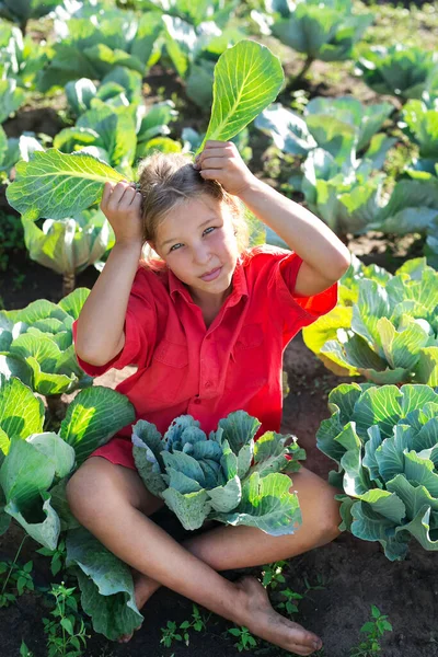 Ragazza Carina Portamento Nel Campo Con Cavolo Umore Estivo Ragazza — Foto Stock