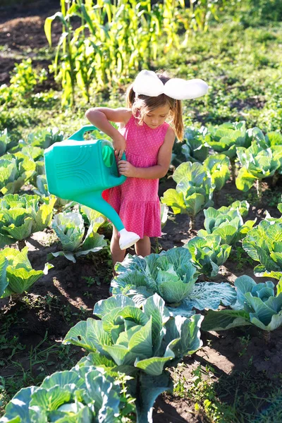 Klein Schattig Meisje Hulp Tuin — Stockfoto