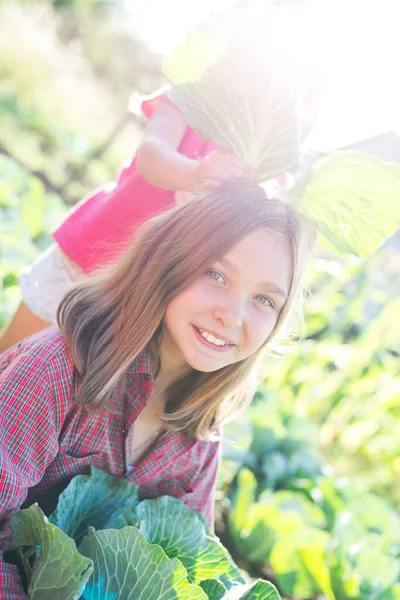 아름다운 소녀가 양배추 — 스톡 사진