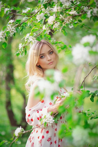 迷人的金发女孩在盛开的苹果果园 — 图库照片