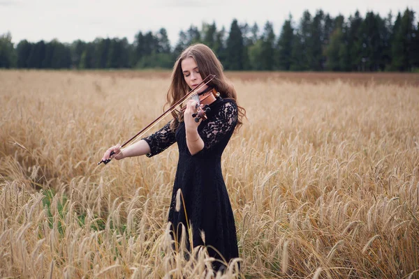 Bela Menina Violinista Gosta Tocar Violino Campo Trigo Amadurecimento — Fotografia de Stock
