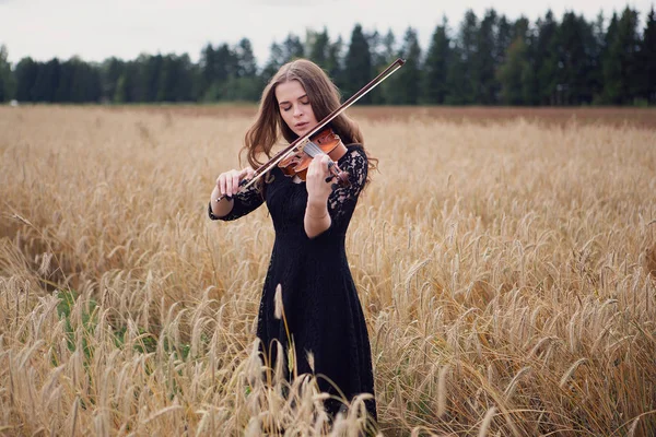 Schöne Geigerin Spielt Gerne Geige Auf Reifenden Weizenfeldern — Stockfoto