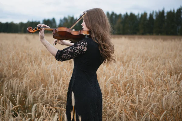 Una Hermosa Chica Con Vestido Negro Toca Violín Campo Trigo —  Fotos de Stock