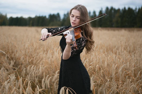 매력적 아가씨 밭에서 바이올린을 — 스톡 사진