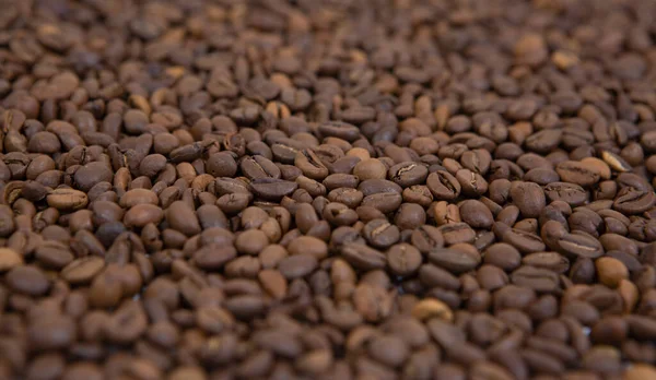 Granos de café aromáticos primer plano, textura — Foto de Stock