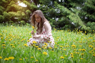 Açık renk elbiseli güzel bir sarışın kız güneşli bir havada parkta çiçek toplar.