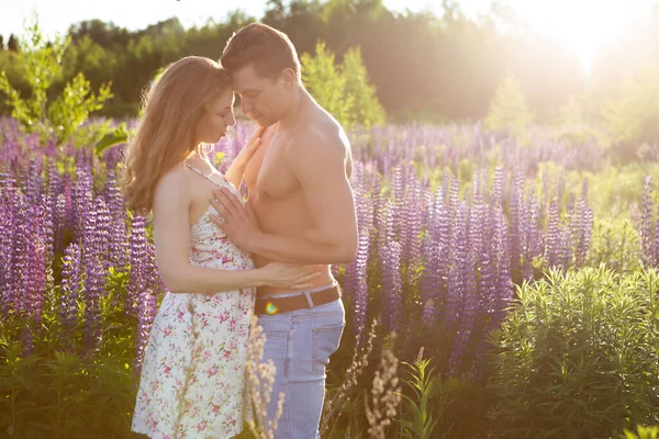 Портрет влюбленного мужчины и женщины, нежно целующихся на цветущем люпиновом поле в яркий солнечный день — стоковое фото