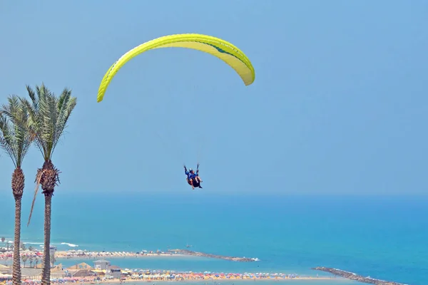 Two people fly on yellow paraglider in  sky near palms above  beach and  city. Mediterranean Sea, Israel, balance, extreme sports, group rest, common interests.
