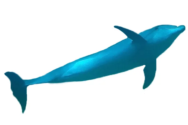 Delfín Azul Sobre Fondo Blanco Aislado —  Fotos de Stock