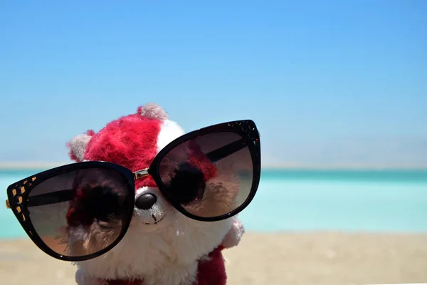이스라엘 사해의 안경에 다람쥐의 장난감 — 스톡 사진