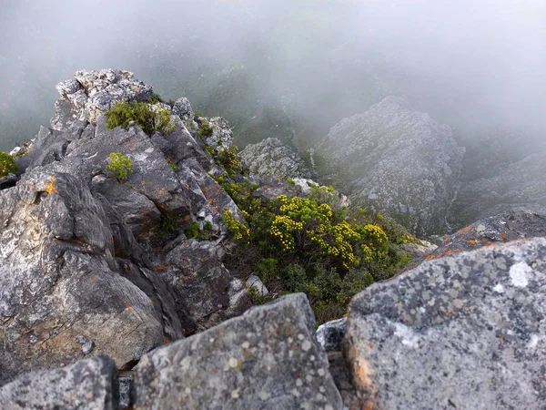 Nevoeiro Montanha Mesa Nas Proximidades Cidade Cabo África Sul — Fotografia de Stock