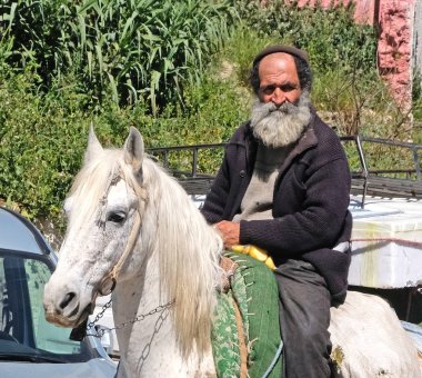 Fas, Fez şehir Pazar Meydanı. 12 Mart 2019. Çarşı sürme Süvari