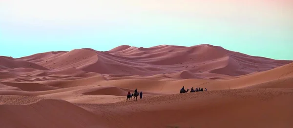 Bir deve sürücüsü ile Deve karavan Fas Sahra Çölü'nde turist geçiş gerçekleştirir — Stok fotoğraf