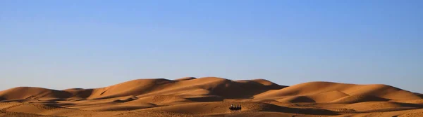 Camel lakókocsi egy teve vezető elvégzi az átmenetet a turisták a Szahara sivatagban Marokkóban — Stock Fotó