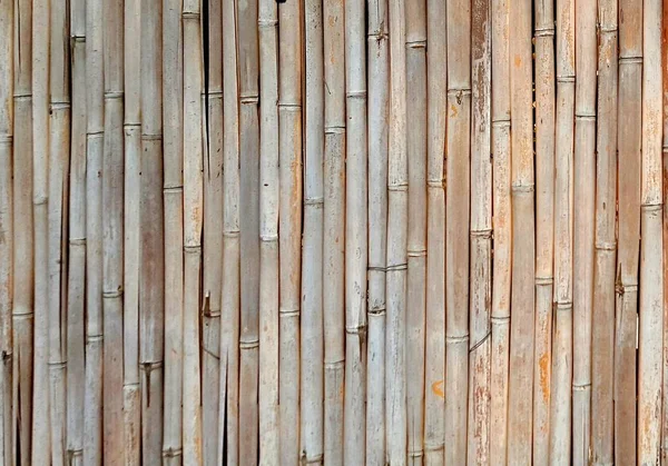 Elem, kerítés, készült hordók érett bambusz. — Stock Fotó