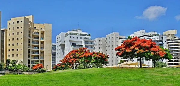 Modern evler ve İsrail'de Holon şehir topraklarının büyük bir peyzaj ile yeni bir yerleşim alanı Panorama