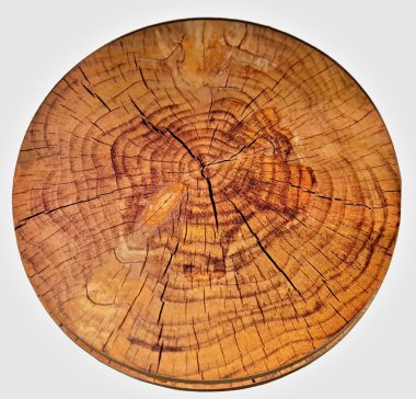 Sıcak öğeler için dekoratif stand - tava ve tencere, bir ağaç gövdesi yuvarlak bir kesim yapılmış ve vernik ile kaplanmış