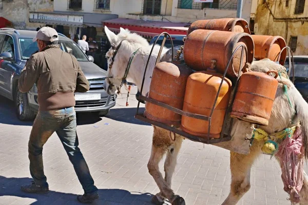 Vendeur de bouteilles de gaz dans un bazar au Maroc utilisant un âne pour transporter des bouteilles — Photo