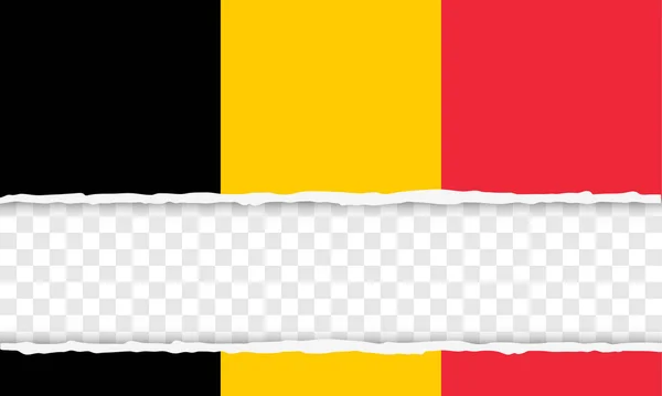 Королевство Бельгия — стоковый вектор