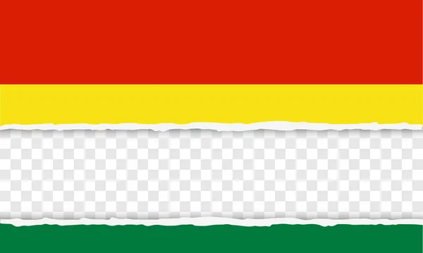 玻利维亚共和国 — 图库矢量图片