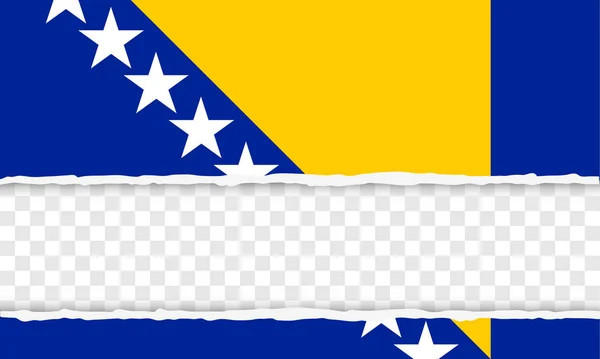 Bosna & Hercegovina — Stockový vektor