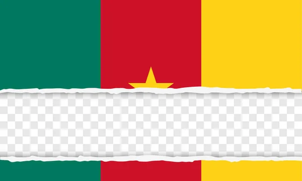 Republik Kamerun — Stockvektor