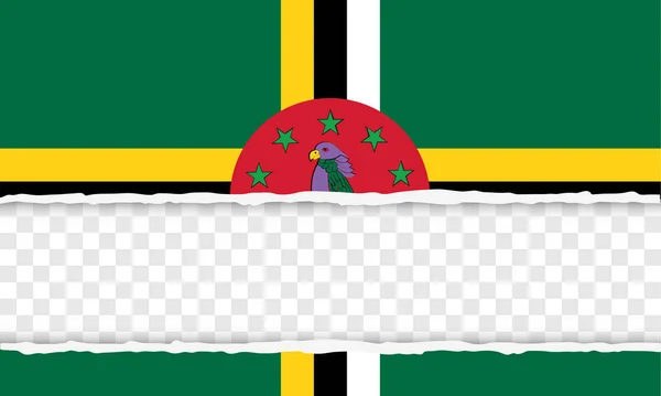 Commonwealth de Dominica — Archivo Imágenes Vectoriales