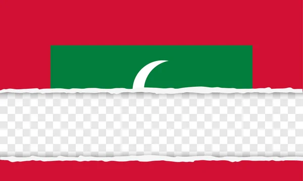 モルディブ共和国 — ストックベクタ