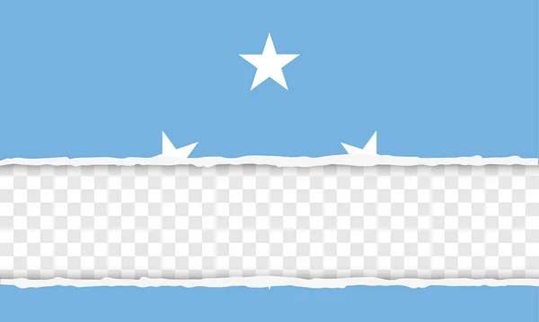 États fédérés de Micronésie — Image vectorielle