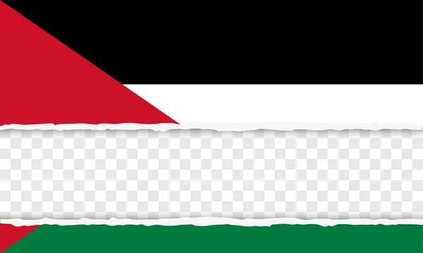 Autoridad Nacional Palestina — Vector de stock