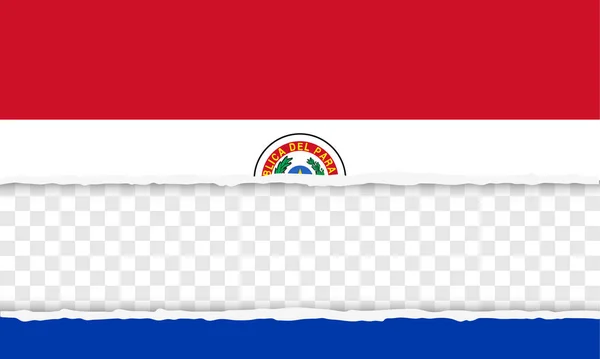 Republiken paraguay — Stock vektor