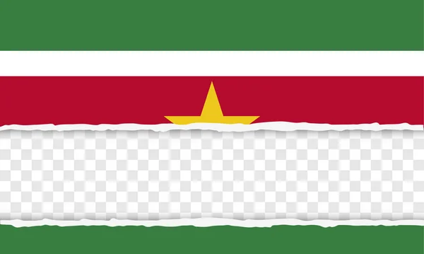 República de Surinam — Vector de stock