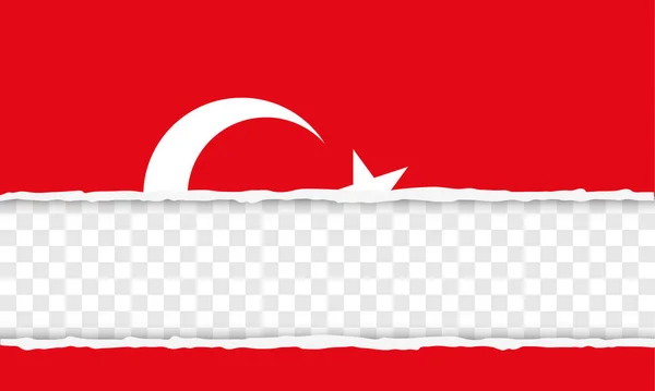 터키 공화국 — 스톡 벡터